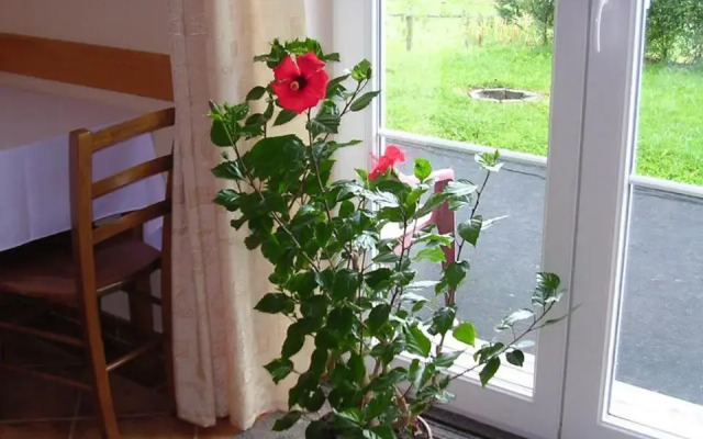 Apartmány Záhořovo Lože