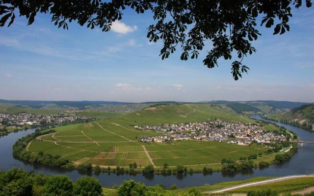 Gästehaus & Weingut Clüsserath-Weiler