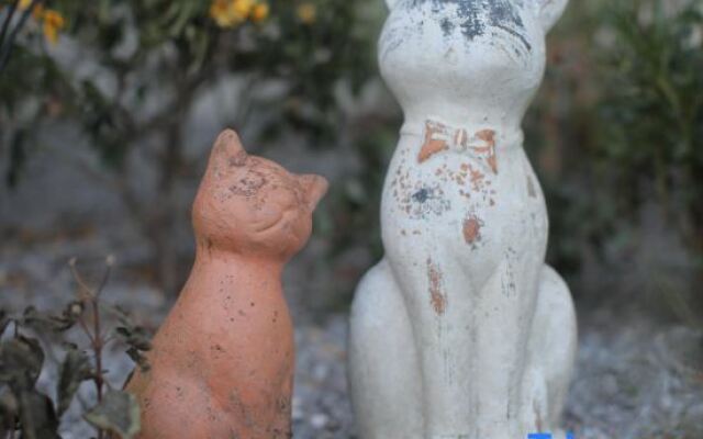 SEEYOO Ceramic Art House