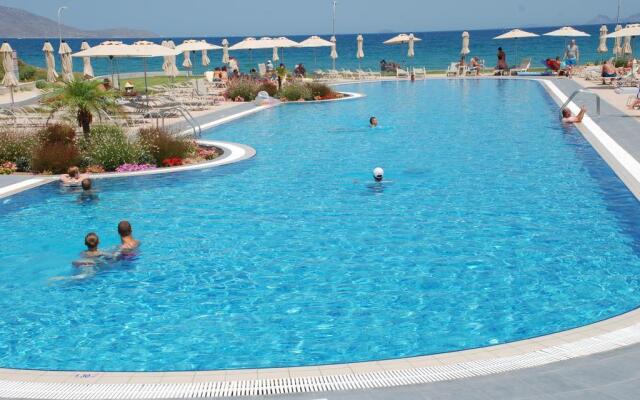 Zorbas Beach Hotel