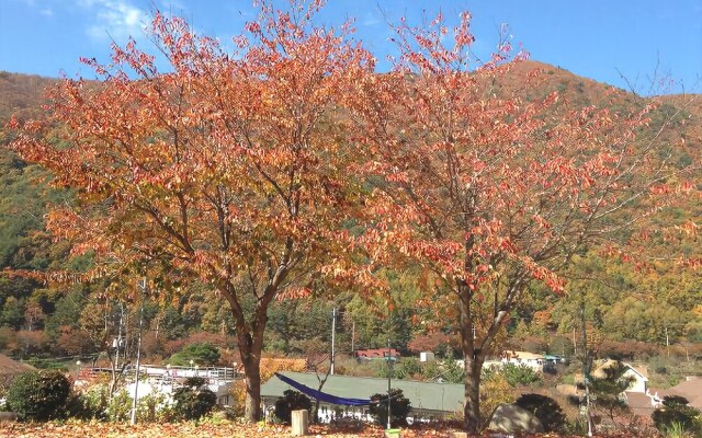 Yangsan Cozy Pension