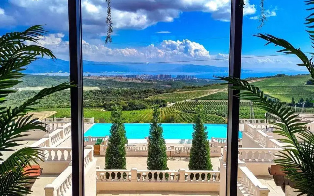 Chateau Pinot