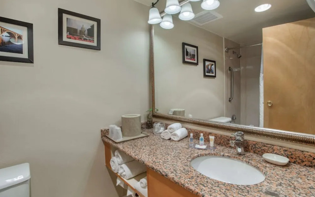 Comfort Inn At Shady Grove