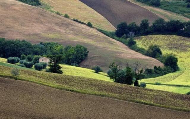 Agriturismo Il Gelso Antico