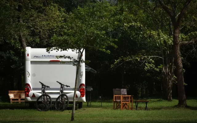 Big Game on Wheels - Wilpattu