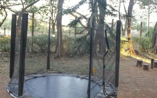 The Jungle Resort Amba