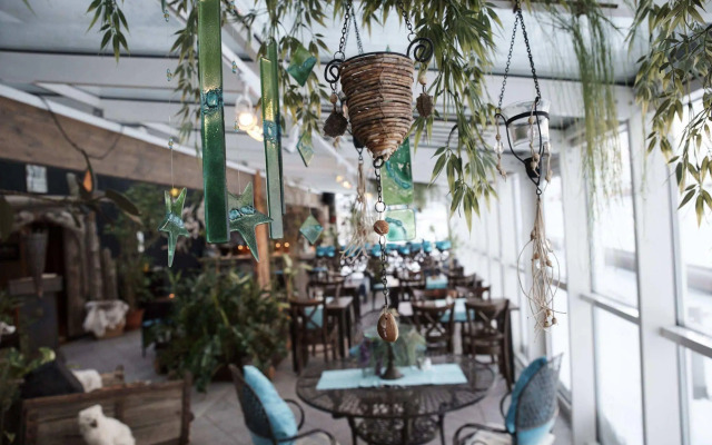 Mary-Ann's Polarrigg