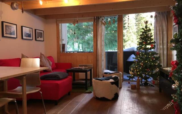 Argentiere - Apartment ideal for ski or summer