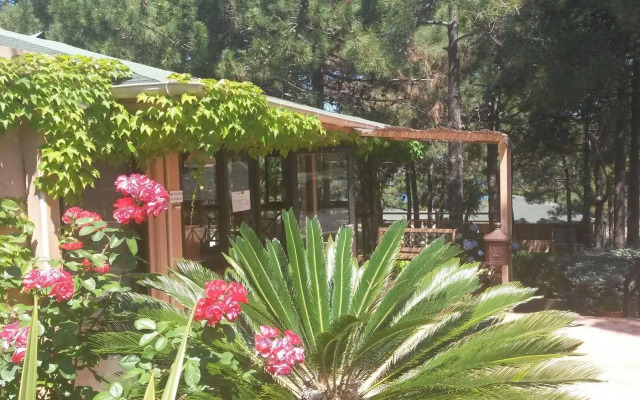 Résidence Les Pins