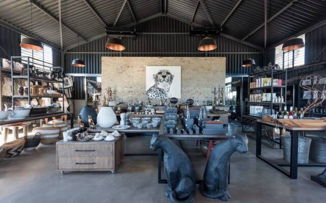 Ashia Cheetah Experience