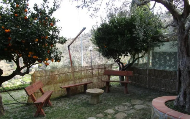 La collina del nibbio