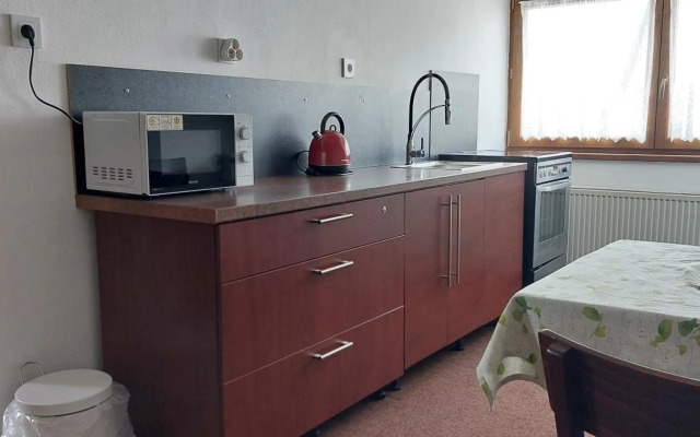 Penzion a bistro U Šelongů - Gentleman