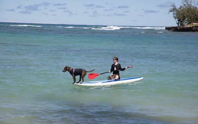 Oceanfront Vacation Villas at Turtle Bay