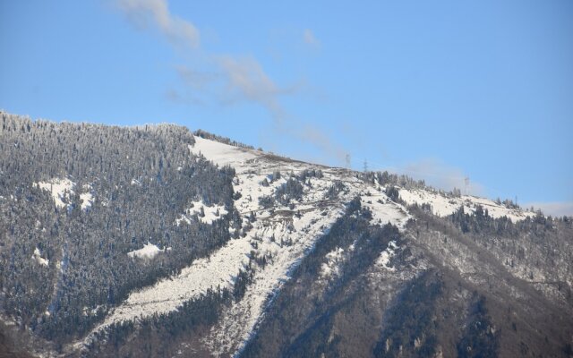 Grand Artvin Hotel