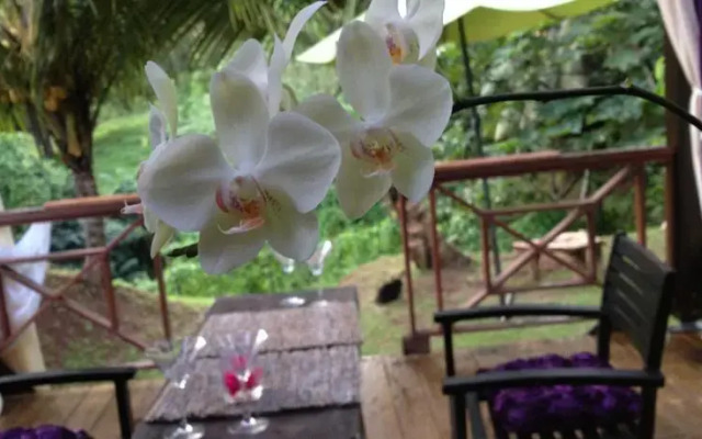 Eden Paradise Spa