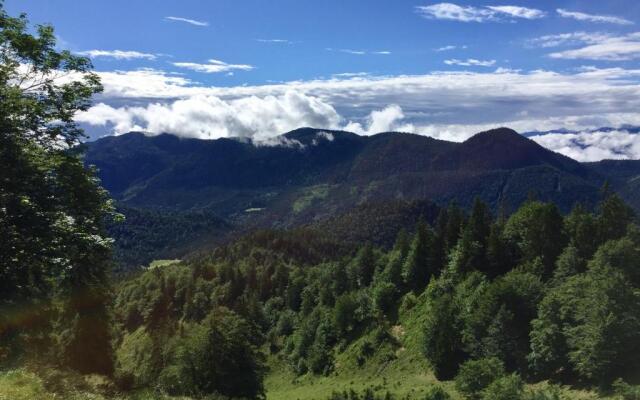 Ferienwohnung Almflair Chalet