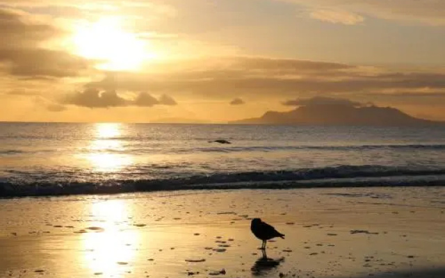 Pakiri Beach Holiday Park