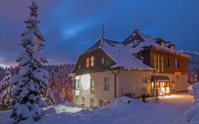 Hotel Domovina