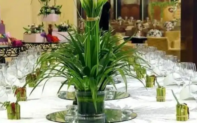 NorthStar Resort & Hotel Bayramoglu