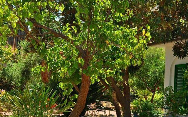 Seafront Apartments Gardenhouse