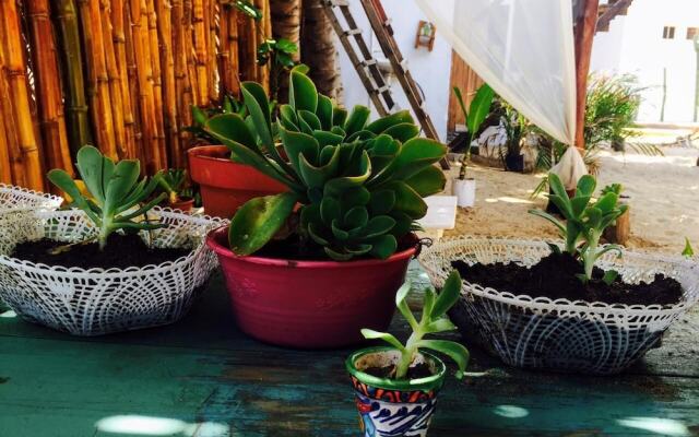 Casa Demetria Friendly