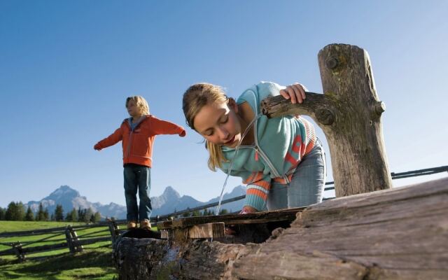 Mountain Chalet With Garden And Parking In Grindelwald