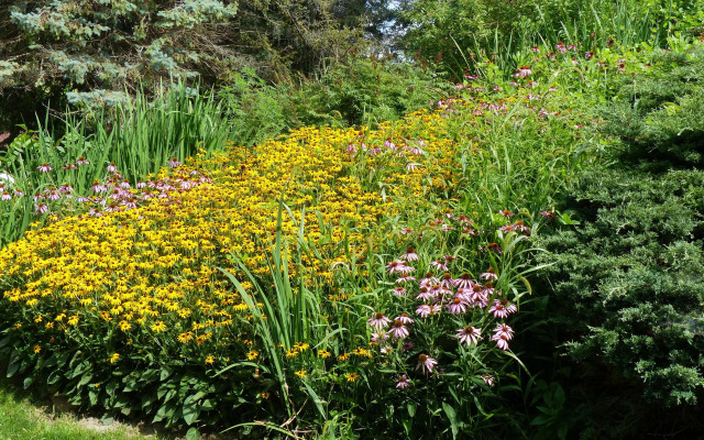 Cloran Mansion Bed & Breakfast