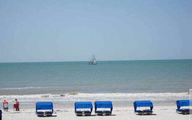 Beach Palms 109