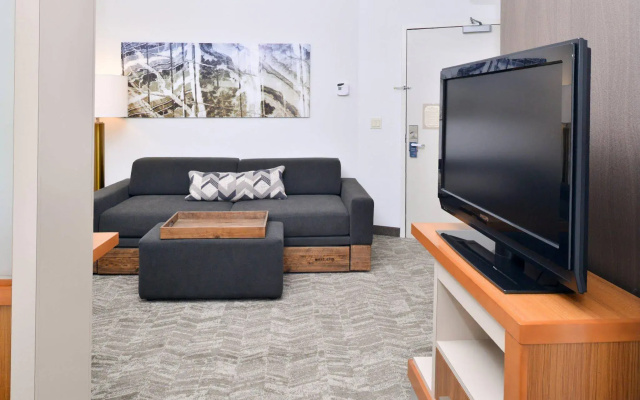 SpringHill Suites by Marriott Ashburn Dulles North