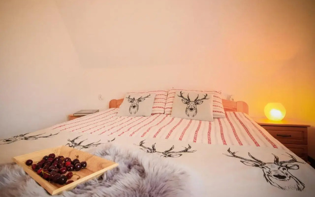 Folk Resort Domki i Apartamenty