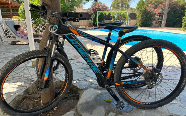 Mediterranean poolside garden cottage