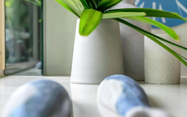 Escapades @ Palm Cove