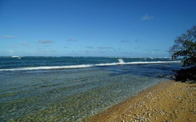 Kapaa Shore 117 by RedAwning