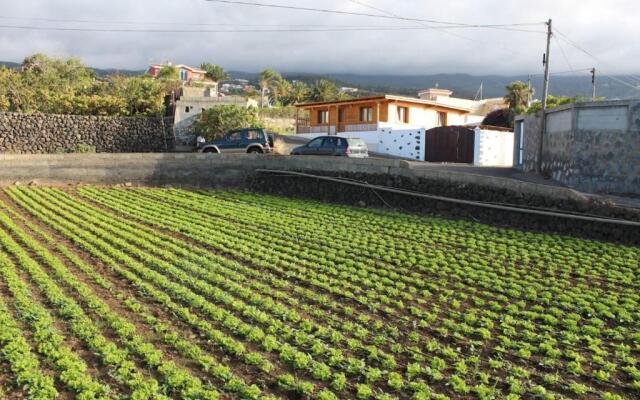 Apartamento las Viñas 1