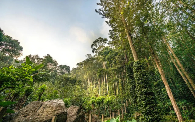 Shambala Yercaud