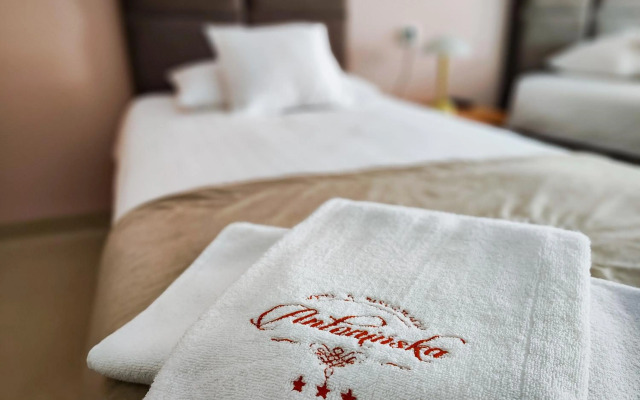 Hotel Antoninska