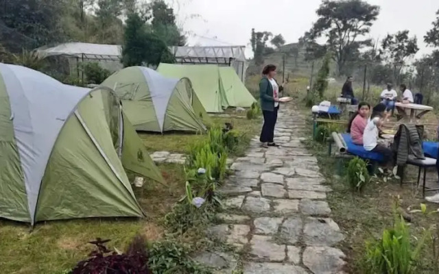 Moonlight Homestay And Camping Site