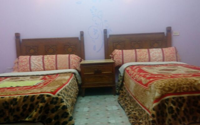 Cairo Moon Hotel - Hostel