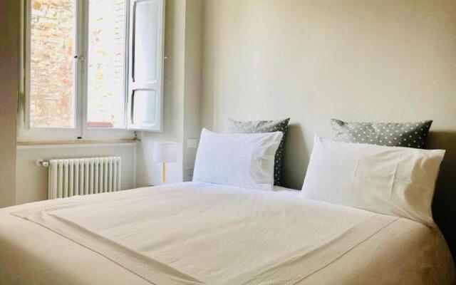 Sciri Suite #2