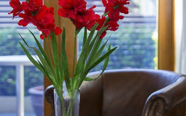 Prahran Village Guest House