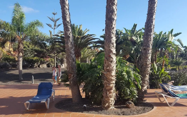 Oasis Royal 2 Dormitorios Piscinasfibra Optica