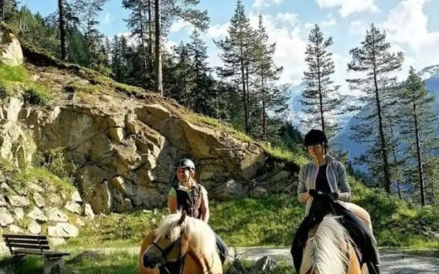 the Veitenhof Comfortable Holiday Residence