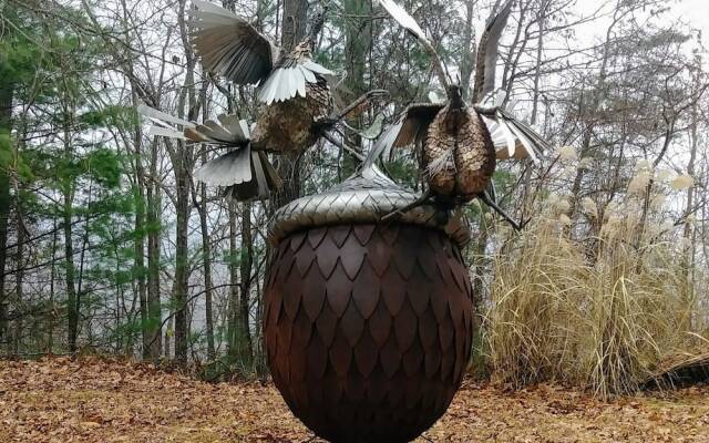 Wild Cat - 1 Br Cabin