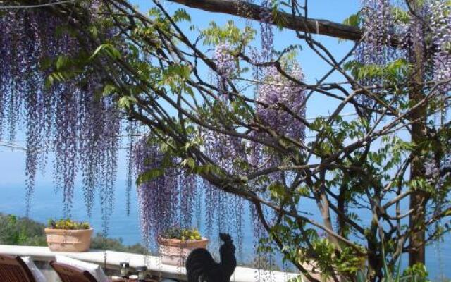 Villa Hilda B&B