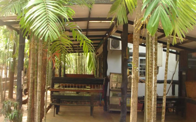 Sam's Jungle Guesthouse