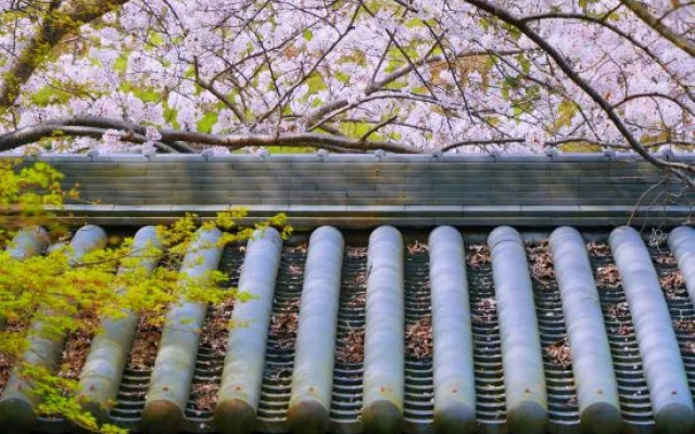 Oukai Villa Izumi