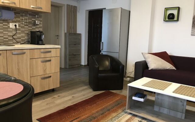 Two Room Apartment Militari Residence M9