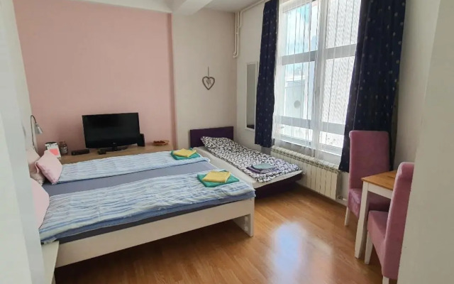 Studio Apartman Ld U Strogom Centru