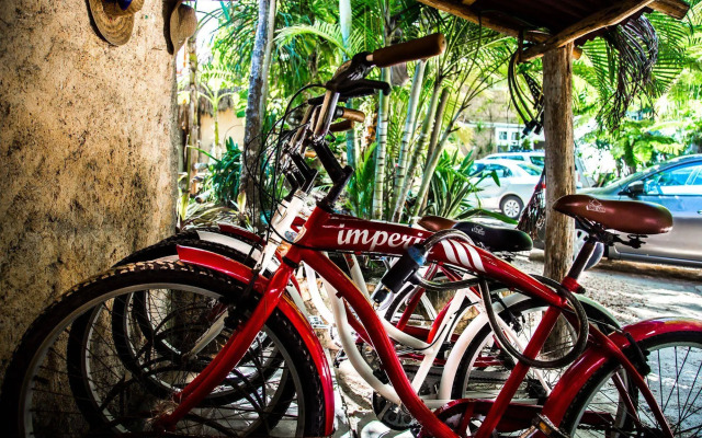 Posada Lamar Tulum Beach Front and Pool