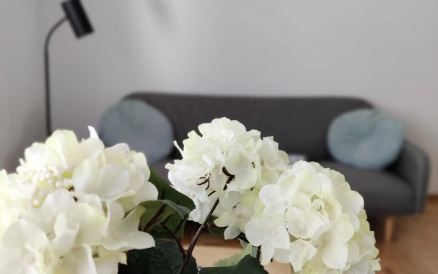 Niinivaara apartment